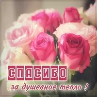 Картинка спасибо за душевное тепло