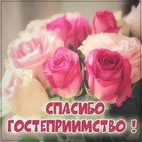 Картинка спасибо за гостеприимство красивая