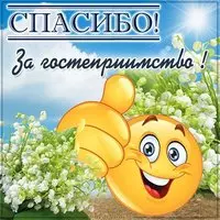 Картинка спасибо за гостеприимство