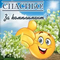 Картинка спасибо за комплимент