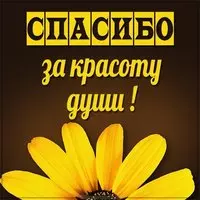 Картинка спасибо за красоту души
