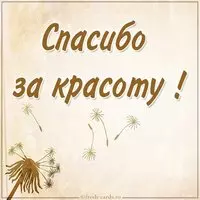 Картинка спасибо за красоту красивая