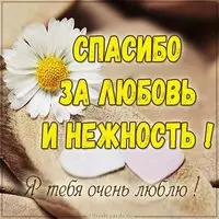Картинка спасибо за любовь и нежность