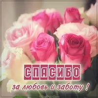 Картинка спасибо за любовь и заботу