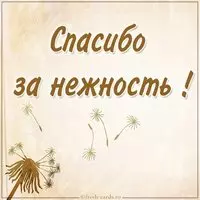 Картинка спасибо за нежность