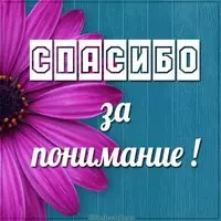 Картинка спасибо за понимание