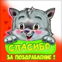 Картинка спасибо за поздравление
