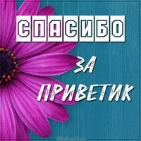 Картинка спасибо за приветик