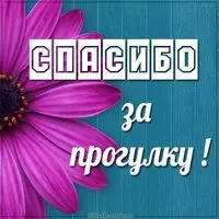 Картинка спасибо за прогулку
