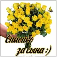 Картинка спасибо за сына красивая