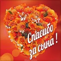 Картинка спасибо за сына маме