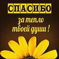 Картинка спасибо за тепло твоей души