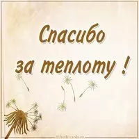Картинка спасибо за теплоту