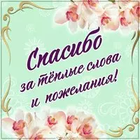 Картинка спасибо за теплые слова и пожелание