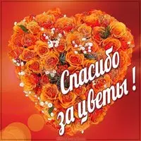 Картинка спасибо за цветы красивая
