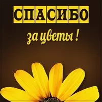 Картинка спасибо за цветы