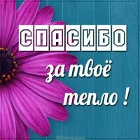 Картинка спасибо за твое тепло