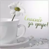 Картинка спасибо за утро