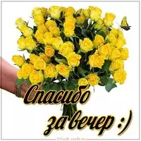 Картинка спасибо за вечер девушке