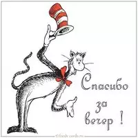 Картинка спасибо за вечер
