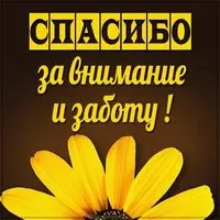 Картинка спасибо за внимание и заботу