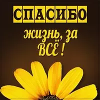 Картинка спасибо жизнь за все