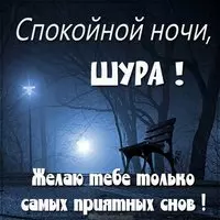 Картинка спокойной ночи Шура