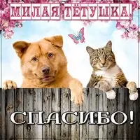Картинка тетушке спасибо