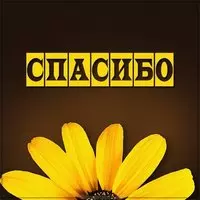 Картинка цветы с надписью спасибо