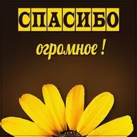 Картинка цветы спасибо огромное