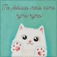 Картинка ты любишь меня хоть чуть чуть