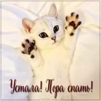 Картинка устала пора спать