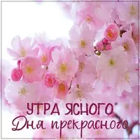 Картинка утра ясного дня прекрасного