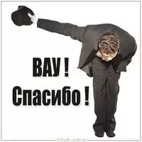 Картинка вау спасибо