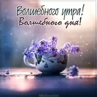 Картинка волшебного утра и дня