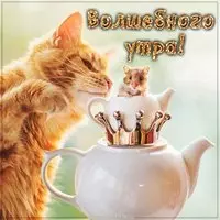 Картинка волшебного утра новая прикольная