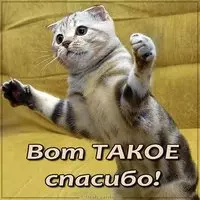 Картинка вот такое спасибо смешная