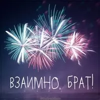 Картинка взаимно брат