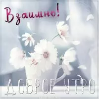 Картинка взаимно доброе утро