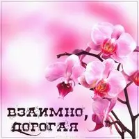 Картинка взаимно дорогая