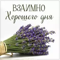 Картинка взаимно хорошего дня
