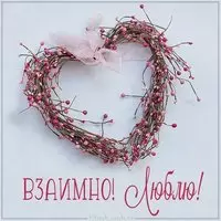 Картинка взаимно люблю