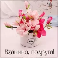 Картинка взаимно подруга