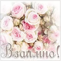 Картинка взаимно
