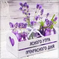 Картинка ясного утра прекрасного дня