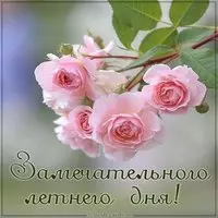 Картинка замечательного летнего дня
