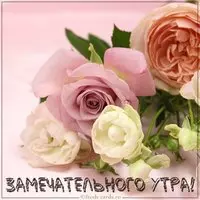 Картинка замечательного утра женщине