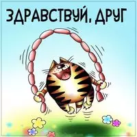 Картинка здравствуй друг