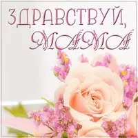 Картинка здравствуй мама