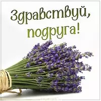 Картинка здравствуй подруга